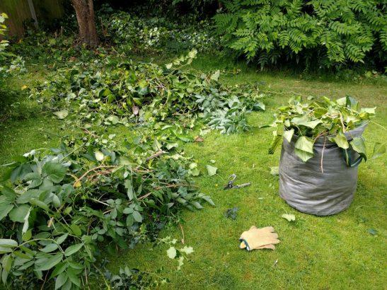 jardinage 0 déchet